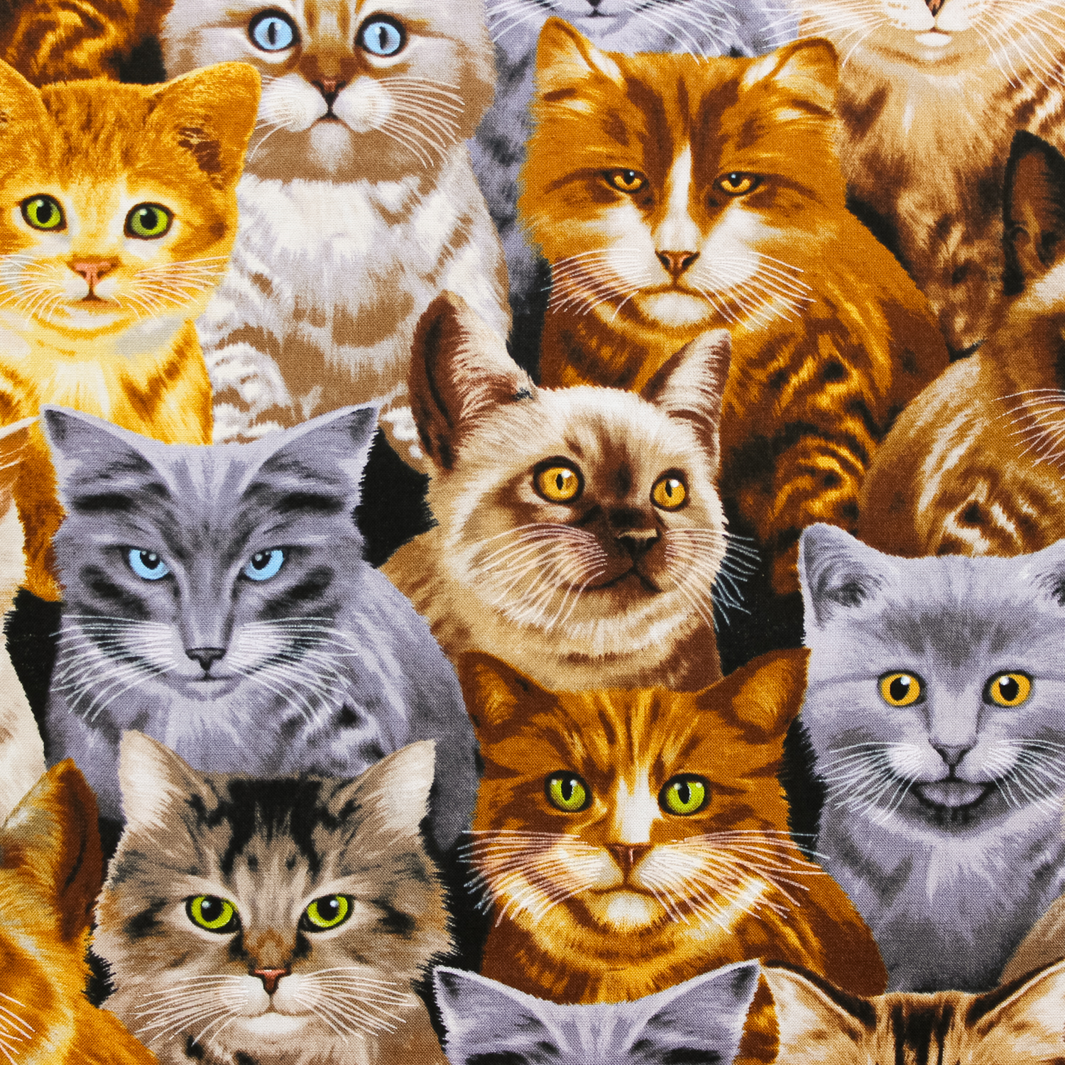 Katoen multicolor met grote katten